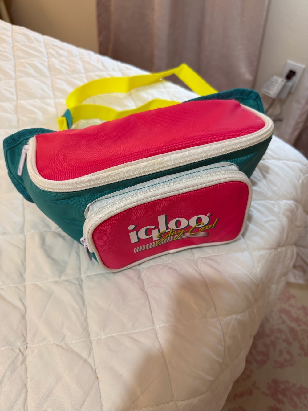 Igloo fannypack